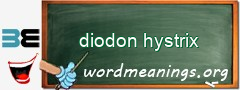 WordMeaning blackboard for diodon hystrix